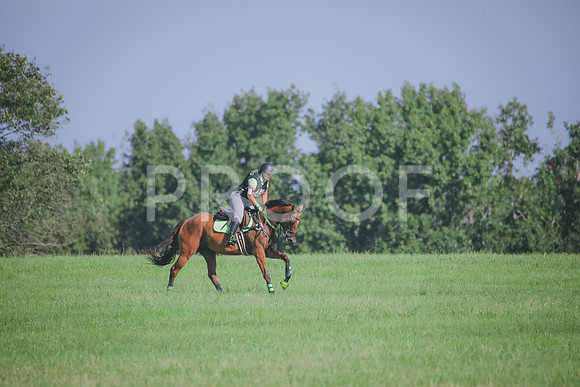 RWP_6311