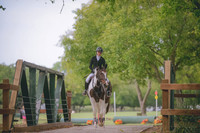 Addie Miller:Fernhill Leroy Brown