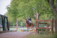 Olivia Pratt:Ardeo San Diego