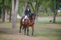 Chloe McCombs:King Robert