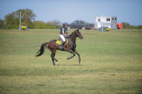 Estelle Stephens:Seven on Safado