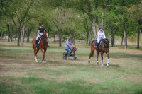Cari Feehan-Imperial Flyer