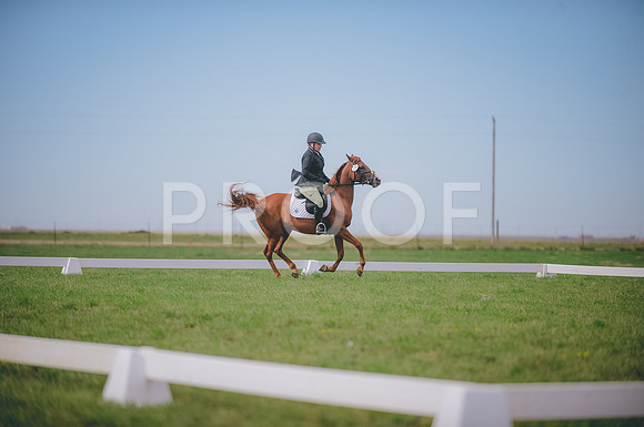 JJS_0665