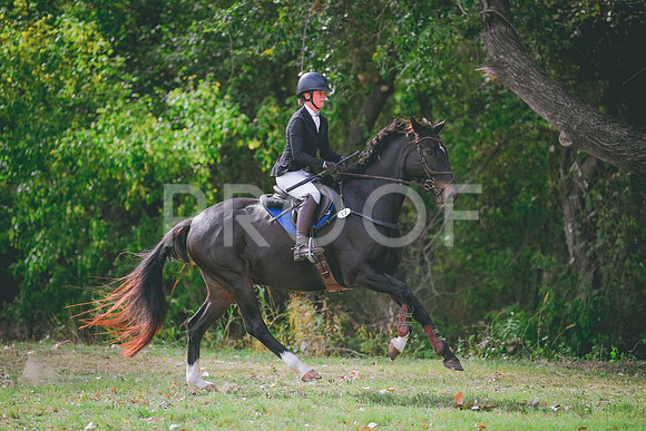 MEI_7402