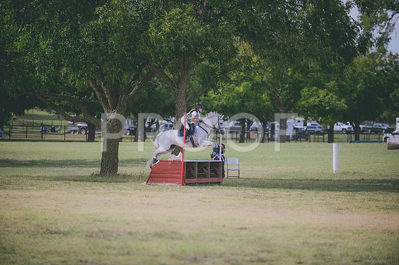 000_0334
