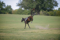 000_0544