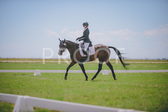 JJS_5951
