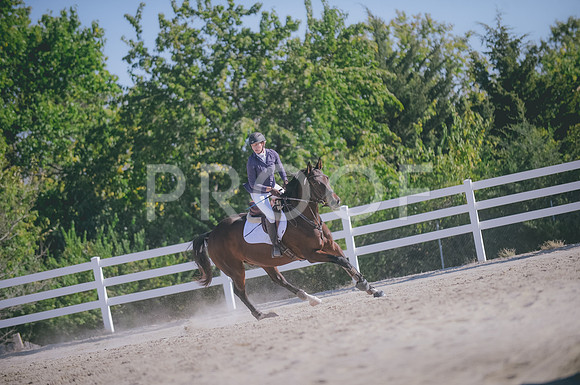 JJS_0291