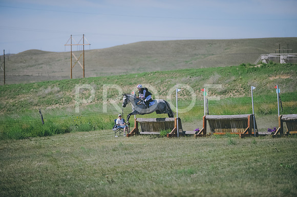 JJS_8621