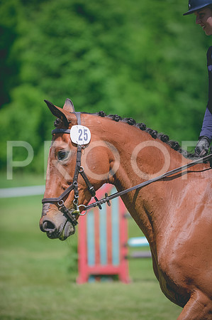 JJS_2286