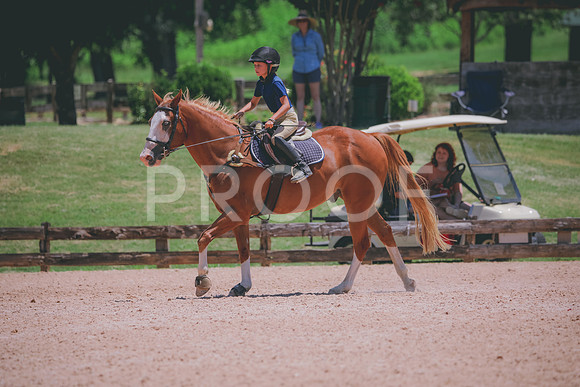 RWP_5902