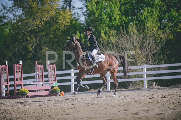 JJS_6033