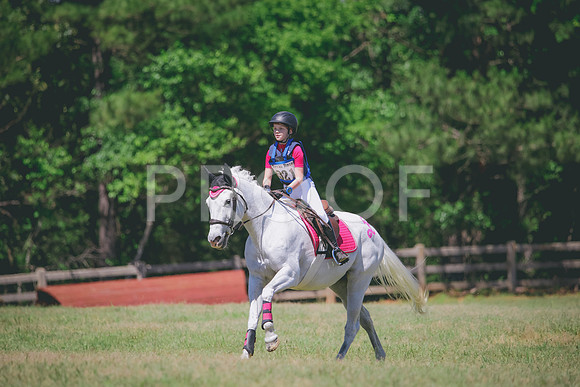 RWP_1065