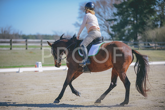 JJS_8035