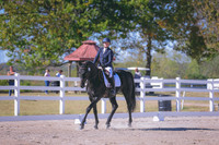 HLJ_0209