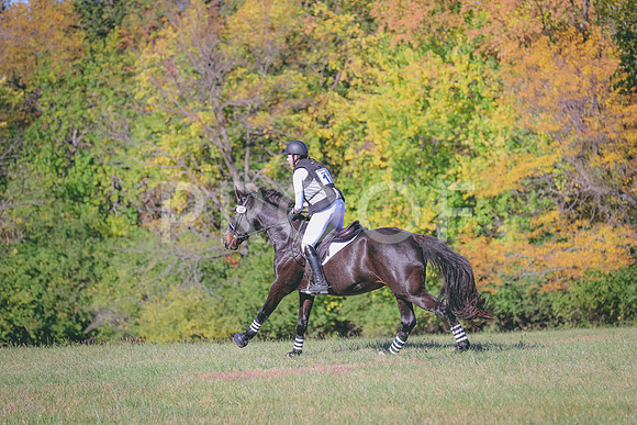 HLJ_2700