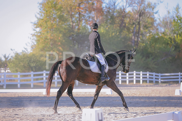 HLJ_1372