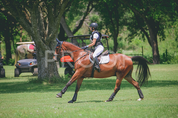 RWP_3179