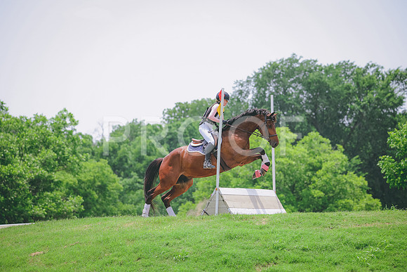 RWP_3533