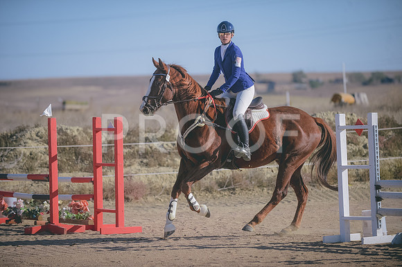 JJS_0310