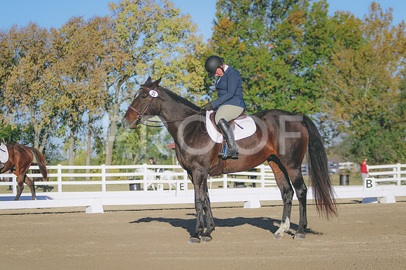 281A2373