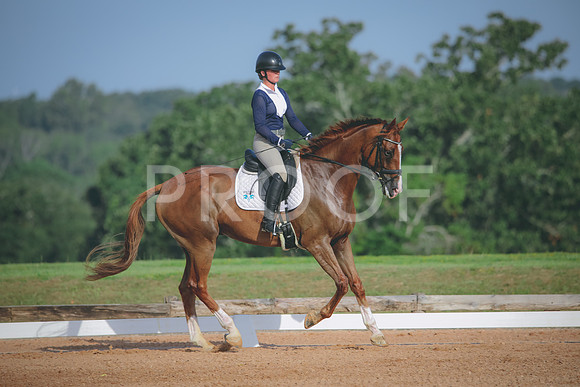 RWP_4440