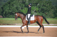 RWP_4492