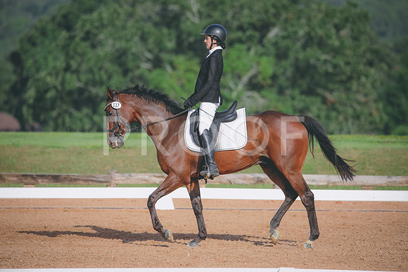 RWP_4492