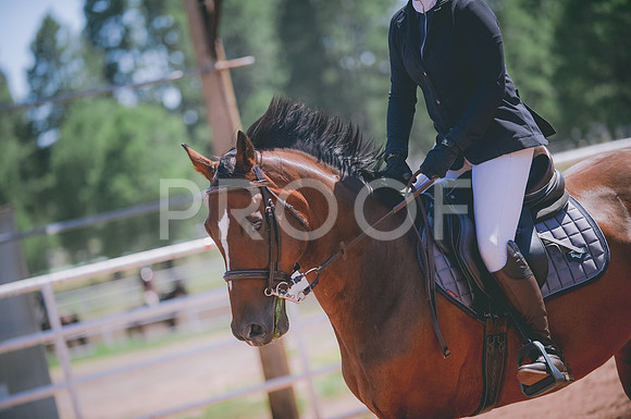 JJS_1963A