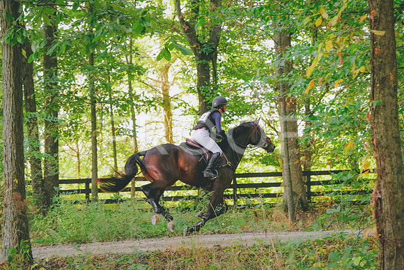 DSC00198