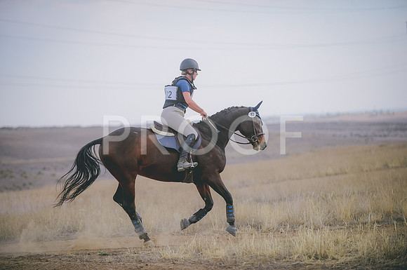 JJS_3648