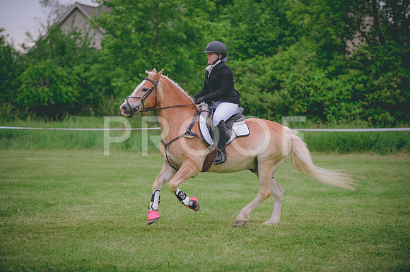 JJS_5539