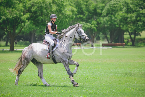 RWP_3395
