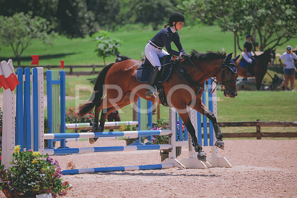 RWP_5645