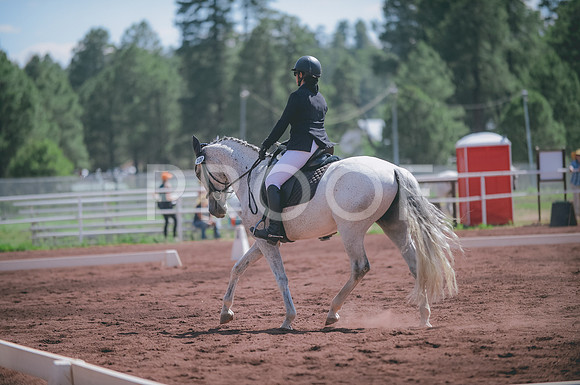 JJS_2529
