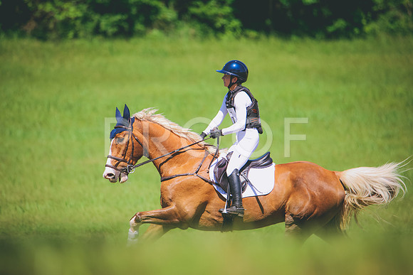 RWP_6464