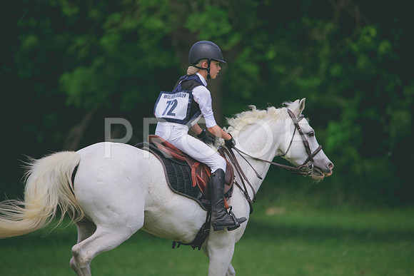 RWP_4175