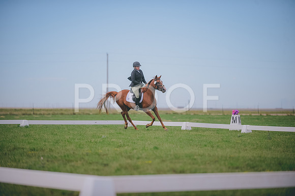 JJS_0699