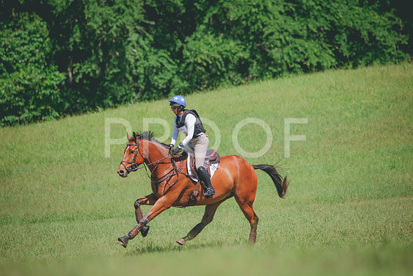RWP_6581
