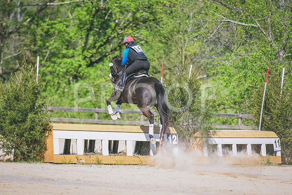 DSC_2621