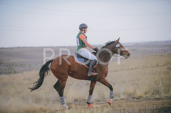 JJS_5795