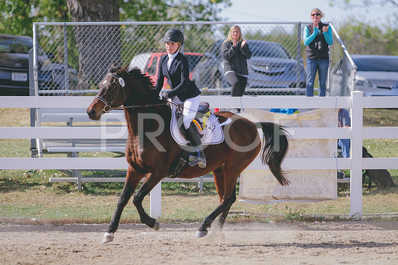 281A0002