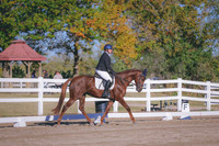 HLJ_2239