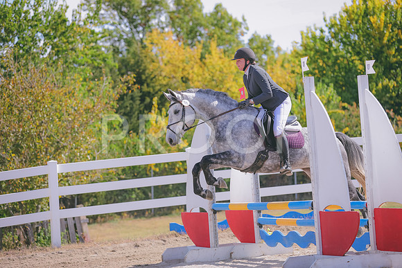 HLJ_7870