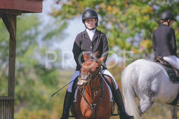 281A8950
