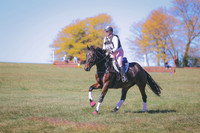 HLJ_4084
