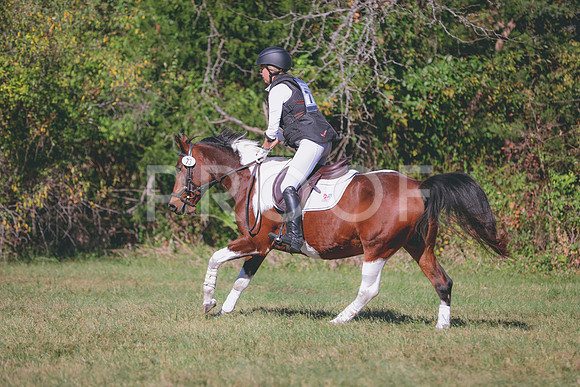 TDEB0265