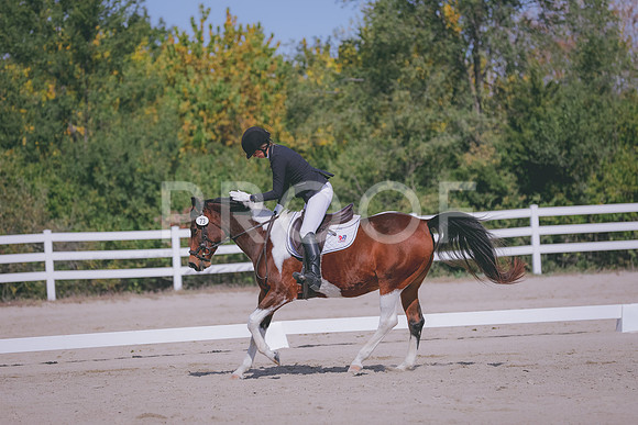 HLJ_8485