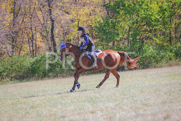 HLJ_4353