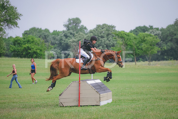 RWP_0445